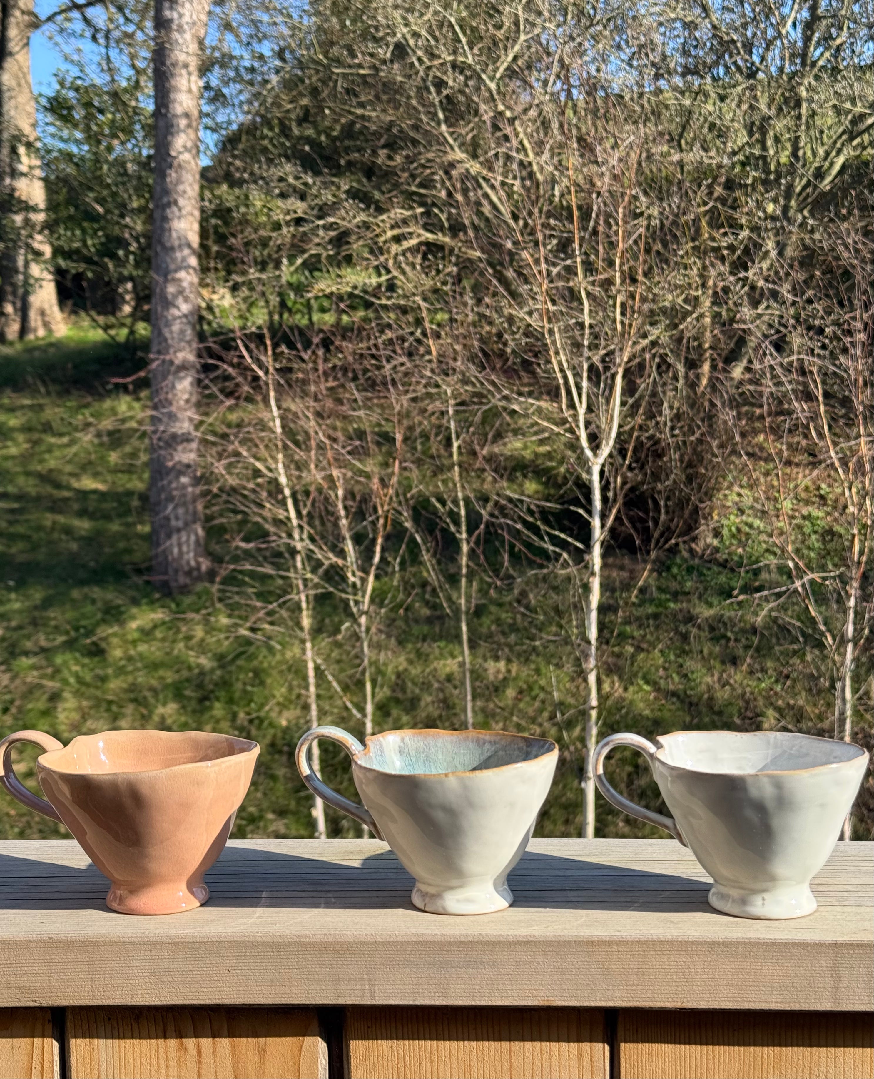 Rustic Mugs